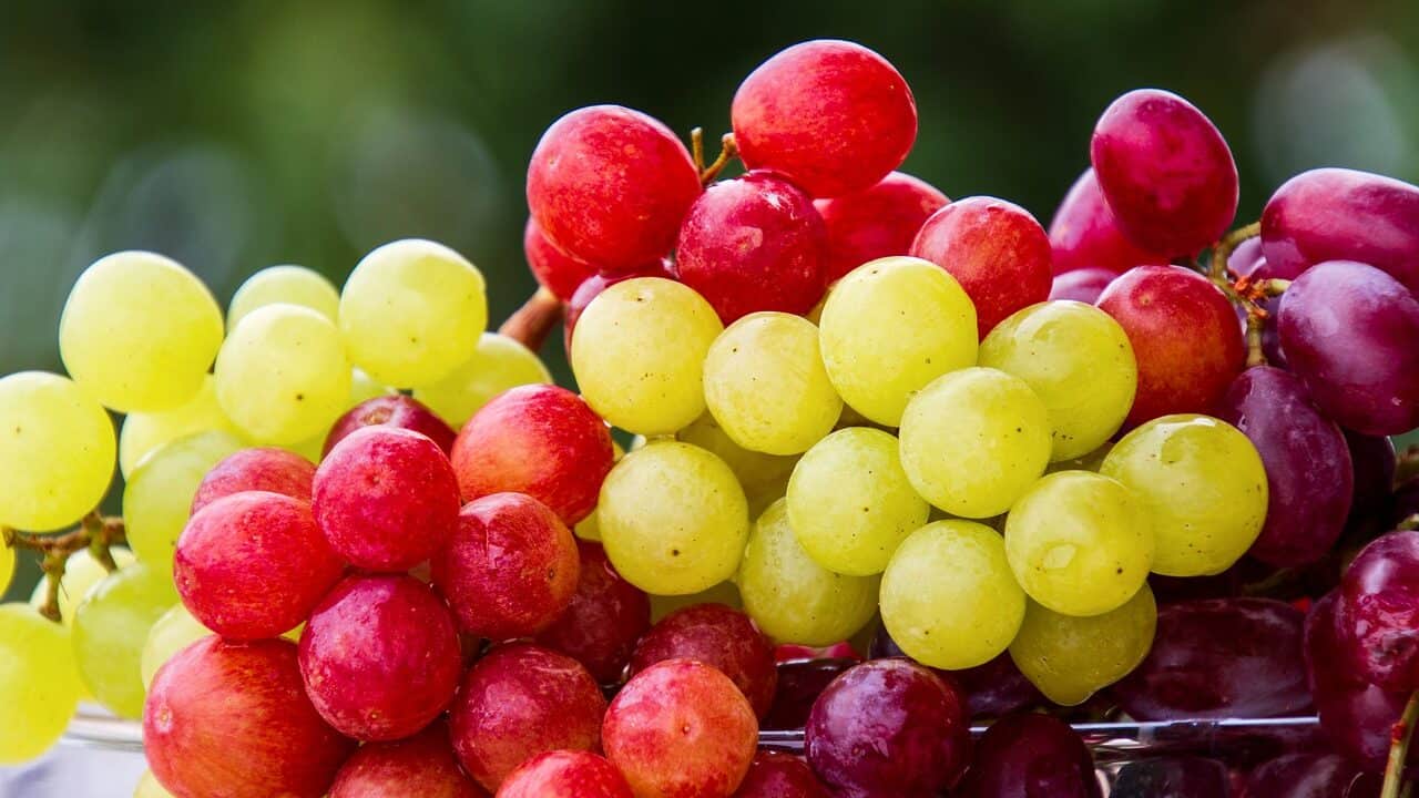 grapes, fruit, cluster-5889697.jpg