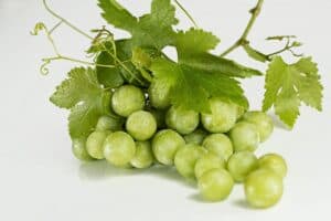 uvas, verde, fruta-582207.jpg