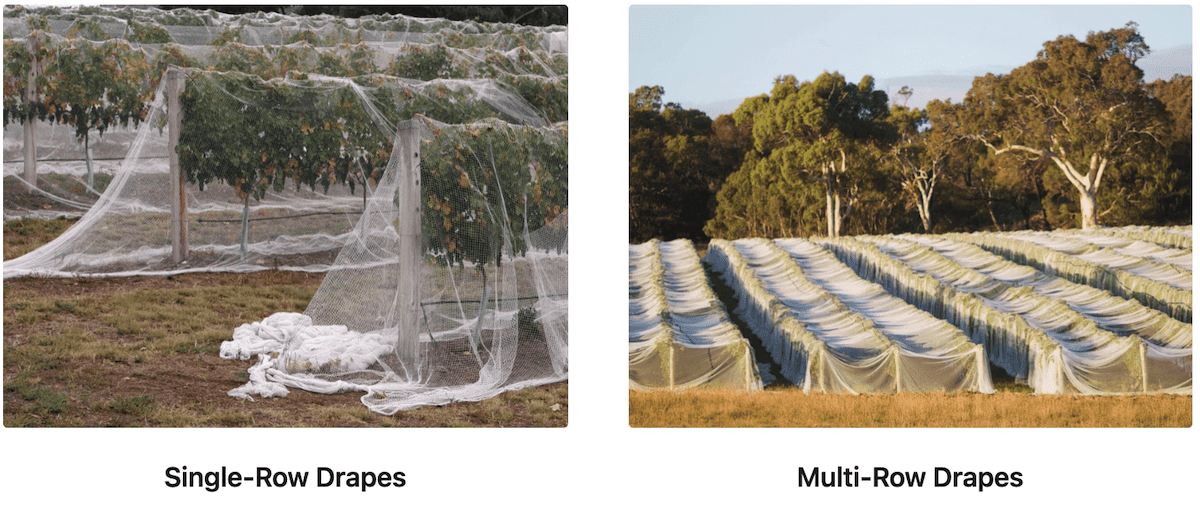 2 tipos de instalación de redes de cortinas para viñedos