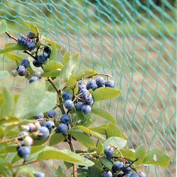 bird netting / for crops