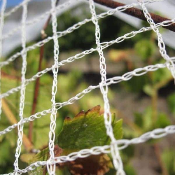 2 Reti Protezione Piante Anti Uccelli E Insetti 100x150 Cm | Con Cordoncino Per Orto E Giardino