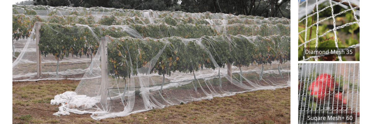 vineyard drape netting 2 types (2)