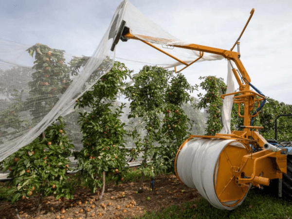 vineyard netting installation (1)