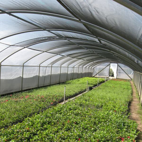 shade cloth 1024x1024