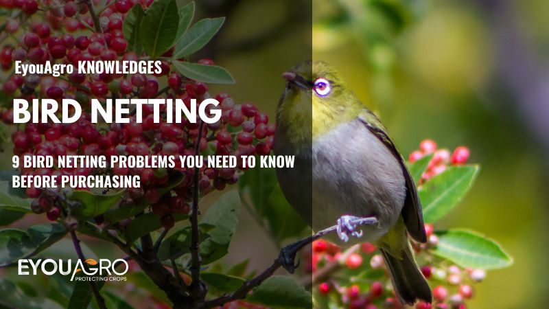 9 Bird Netting Problems You Need to Know