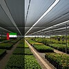 shade net suppliers in uae