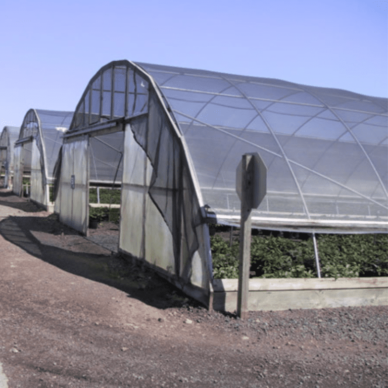 Tape Shade Cloth Shade Netting EYOUAGRO