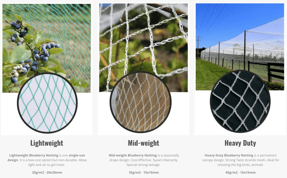 3 types of blueberry nets
