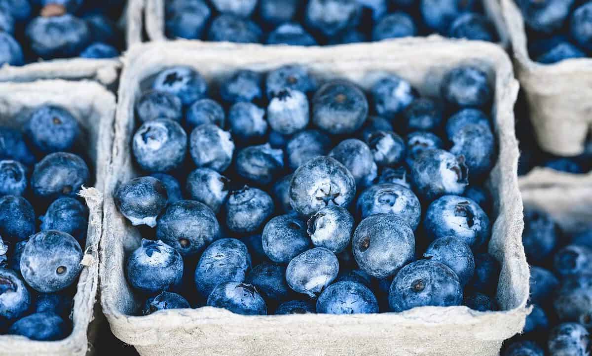 blueberries, bunch, berries-1326154.jpg