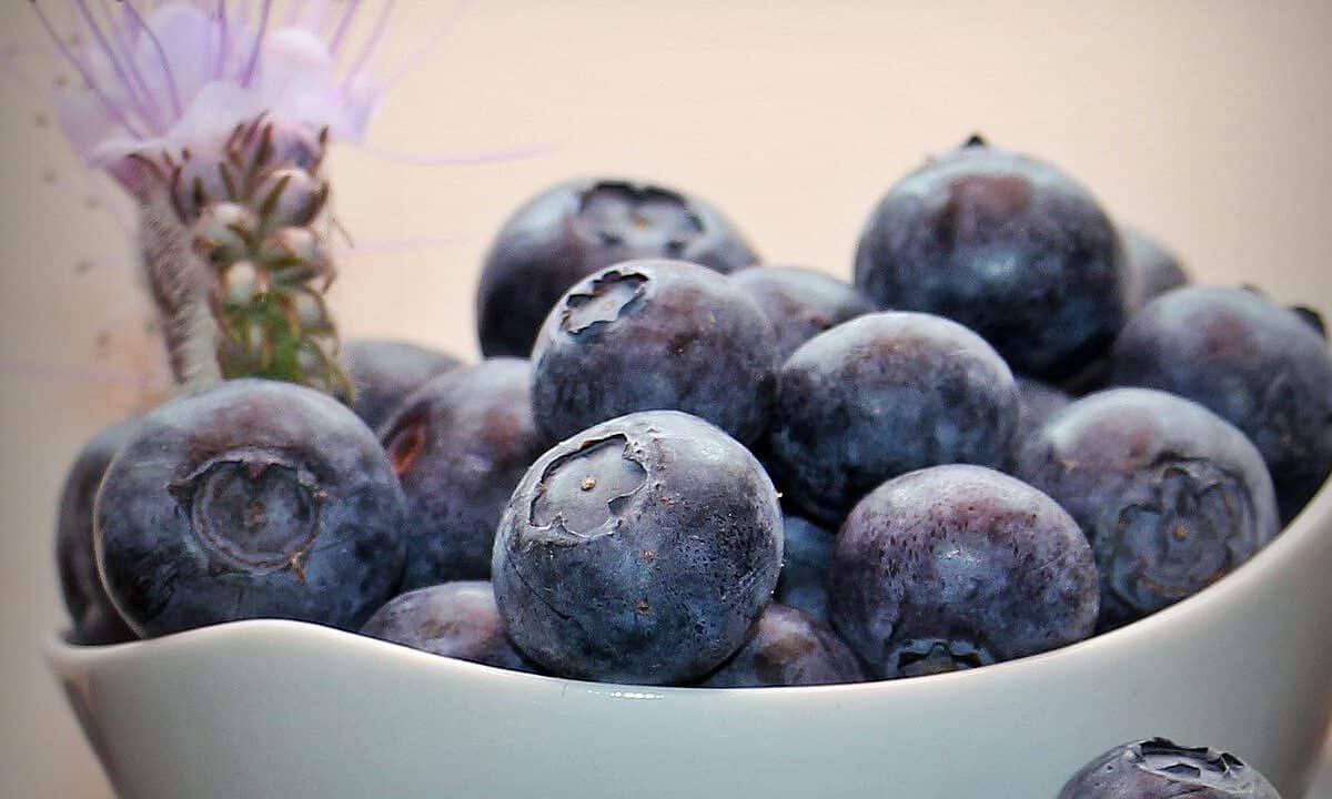 blueberries, fruit, vitamins-1426866.jpg
