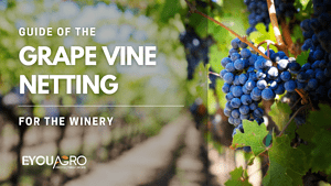 grape vine netting