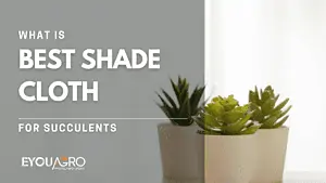 shade cloth for succulents (1)