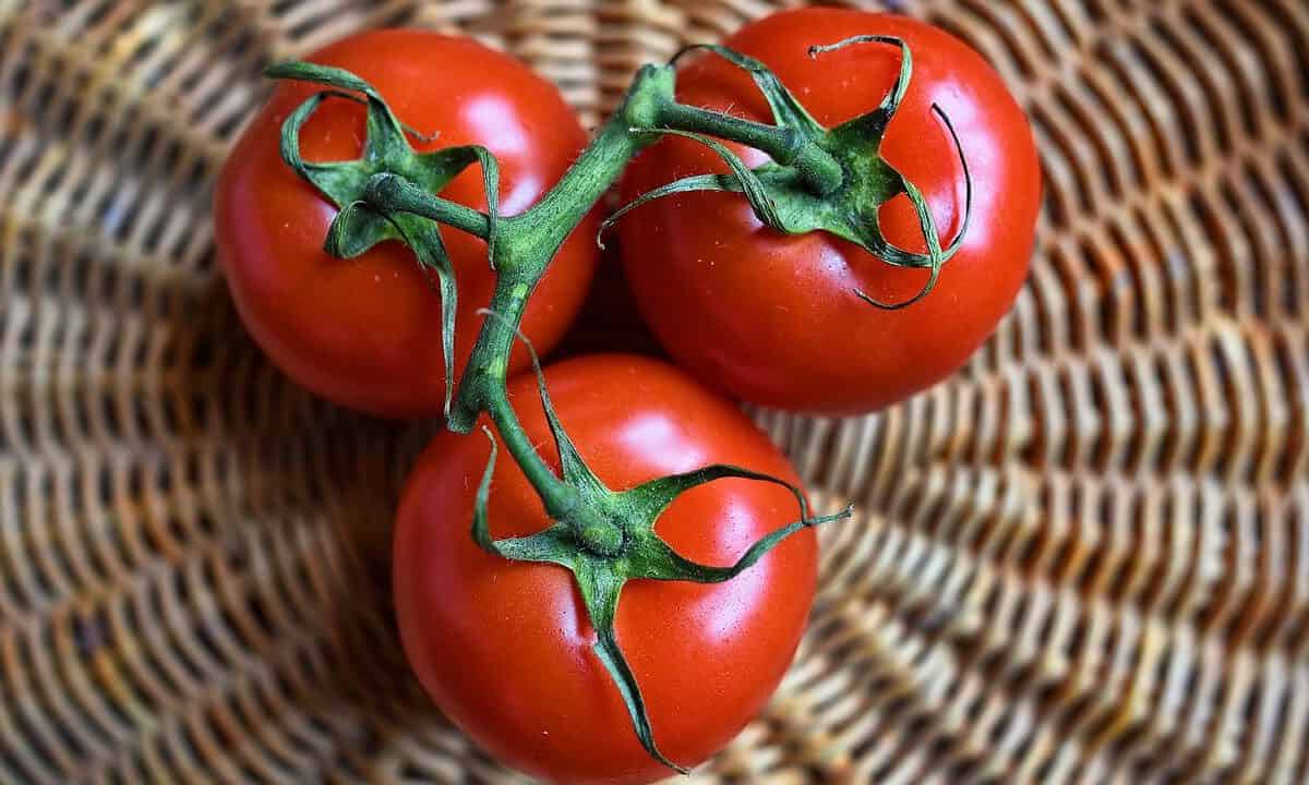 tomates, frutas, comida-3520004.jpg