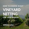 vinyard netting