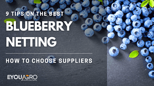 blueberry netting supplier
