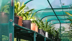 shade cloth 800x450
