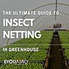 insect netting