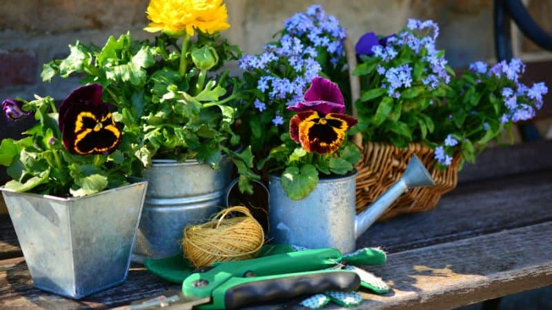 garden shade net