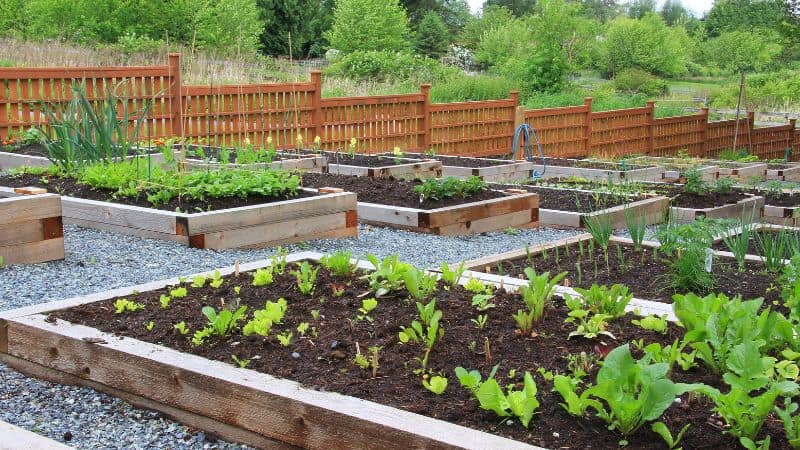 garden shade cloth
