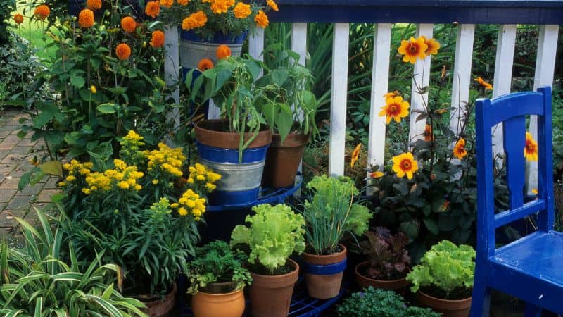 Shade Cloth for Balcony