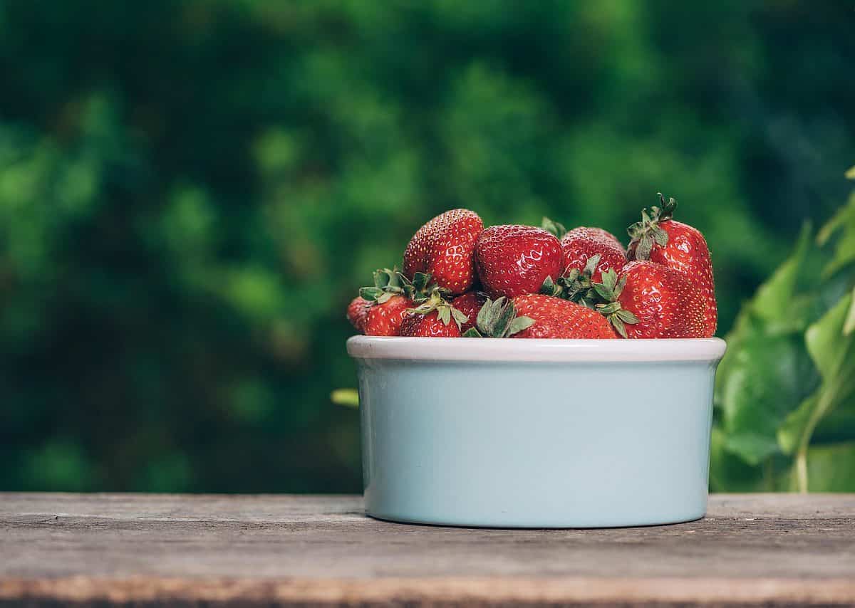 fruit, strawberry, dessert-4186310.jpg