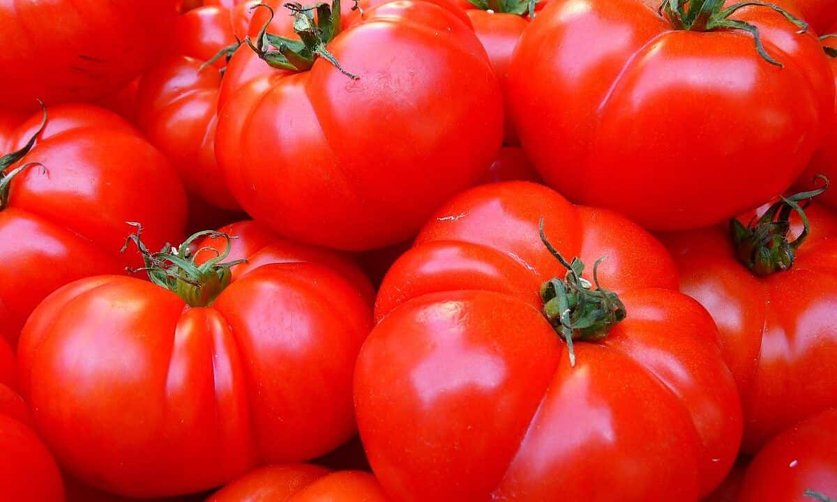 tomaten, fruit, voedsel-5356.jpg