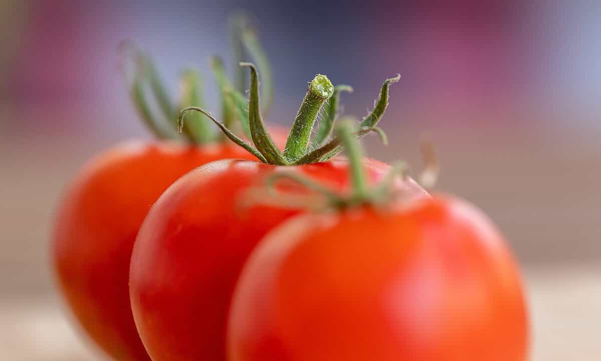 tomatoes, vegetable, food-7386111.jpg