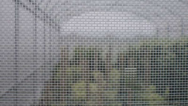 17 mesh insectennet