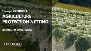 vineyard netting installation (5)