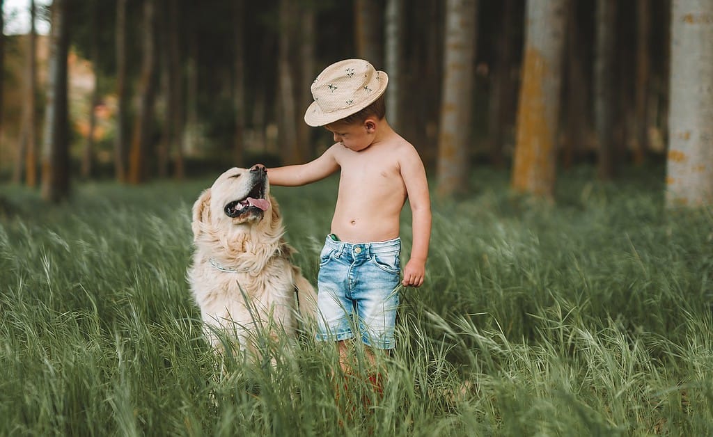 child, dog, field-6276604.jpg