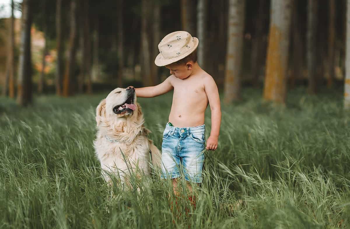 Telo Ombreggiante Per Auto | 3x4 M | Con Occhielli | Riflettente UV | Per Cani, Campeggio, Giardino - Foto 7