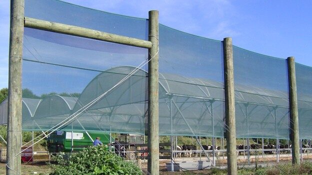 Landbouw windscherm netten