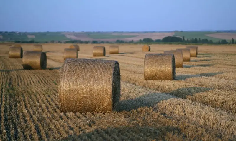 bale netwrap