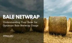 bale 4