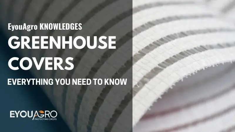 titre 图片模版 (800 x 450 pixels) (15)