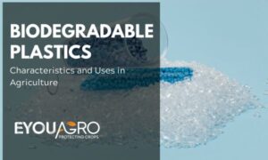plastiche biodegradabili