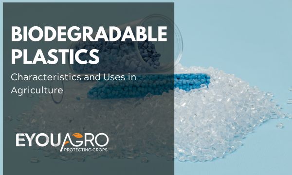 plastiques biodégradables