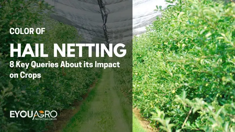 Kolotr sítí proti krupobití