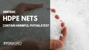 Phthalates