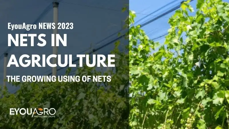 název 图片模版 (800 x 450 像素) (13)