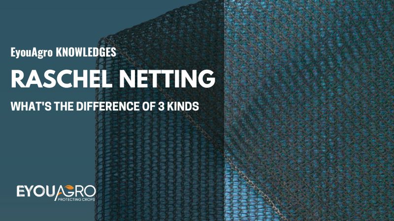 raschel netting (2)