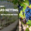 vineyard netting installation
