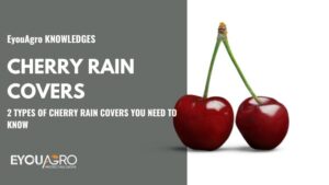 cherry rain covers