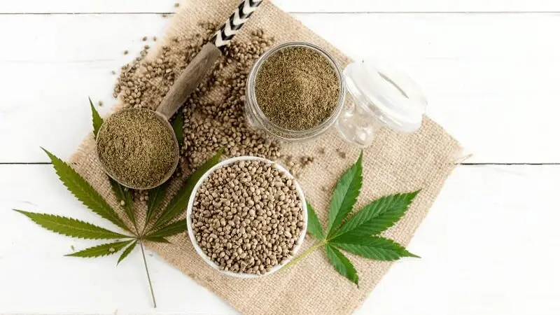 industrial hemp 2