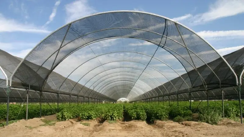 tunnels netting shade