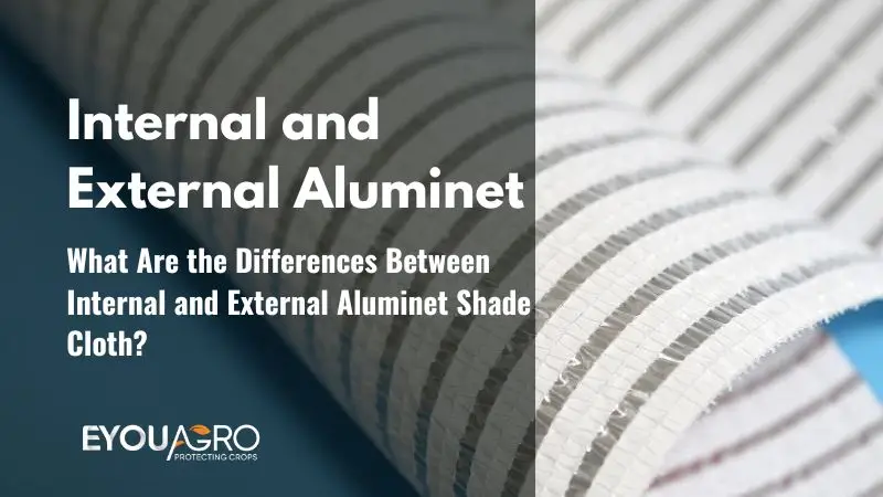 internal and external aluminet