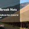 windbreak nets