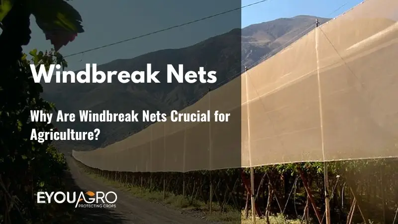 windbreak nets