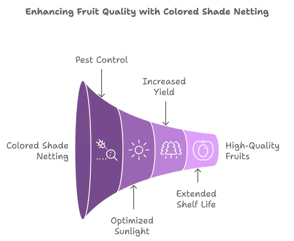 enhancing fruit quality with colored shade netting