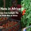 shade nets africa